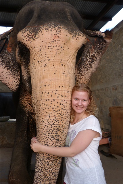 Elephant Village 105